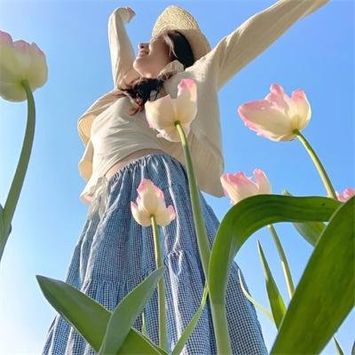 极主夫道 电影版